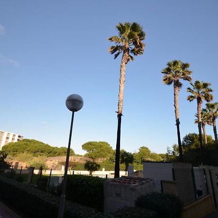055 Paradise Vacation - Ac/Wifi La Mata (Torrevieja) Exterior foto